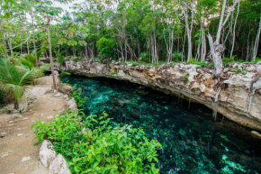Гостиница Cenotes Casa Tortuga Tulum  Тулум